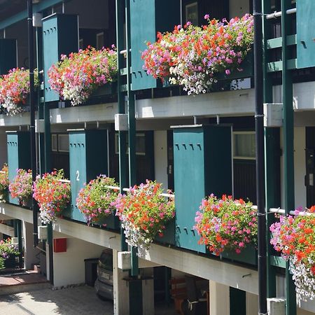 Terrassenpark Apartments Sasbachwalden Kültér fotó