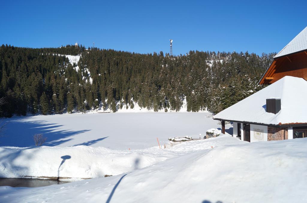 Terrassenpark Apartments Sasbachwalden Szoba fotó